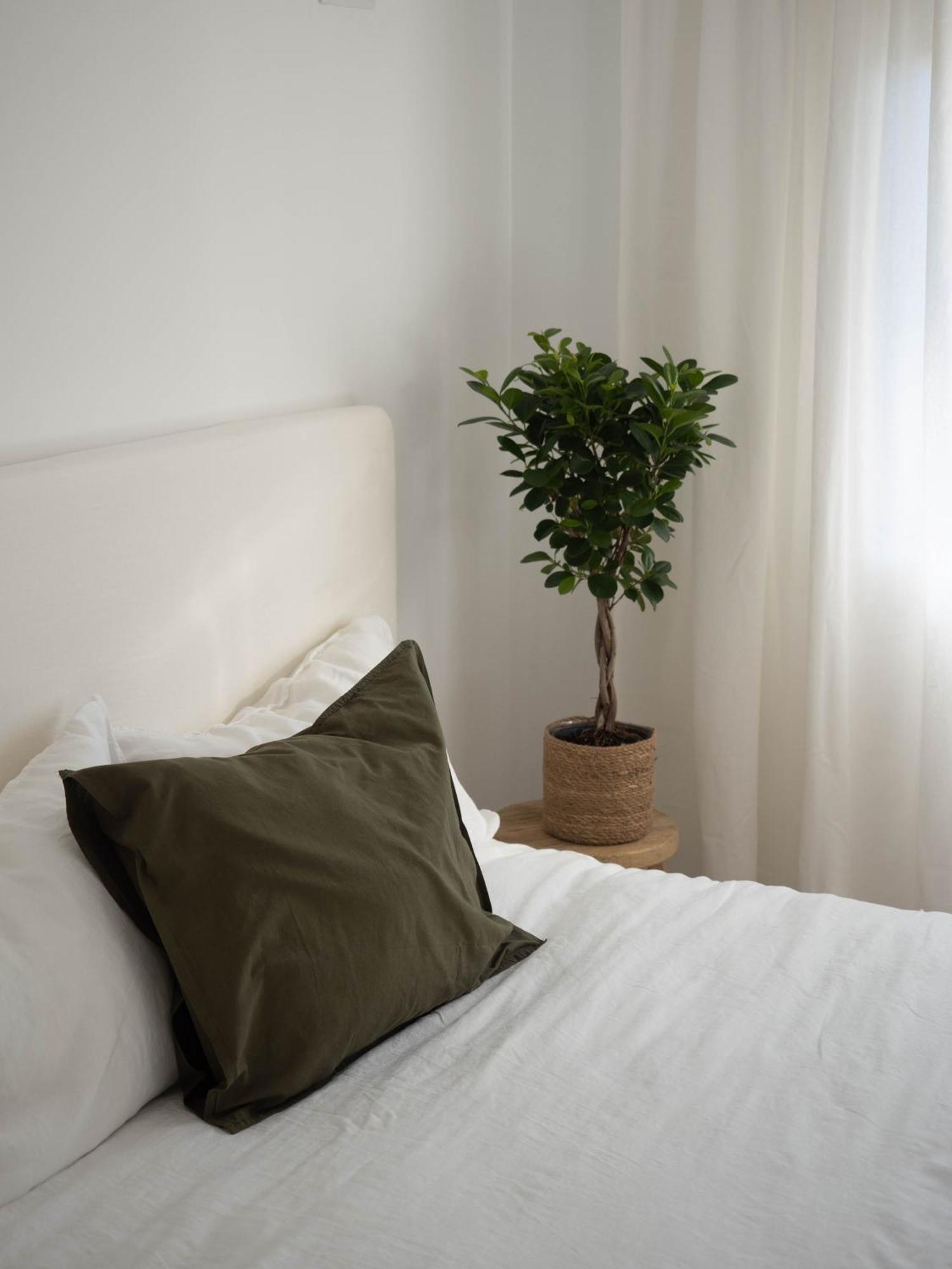 Luxury Apartment In Valencia City Center Exteriör bild